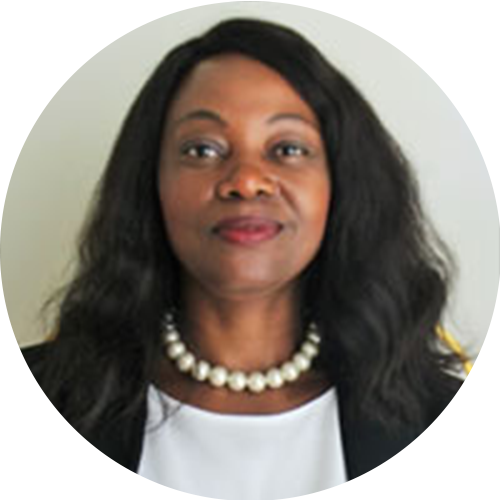 Mmapula Mnisi